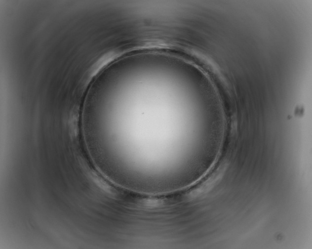 X0000101651409200807101220