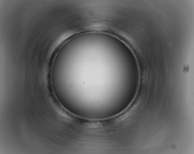 X0000101651410200807101220