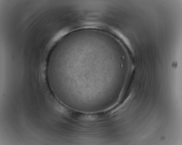 X0000101651411200807101220