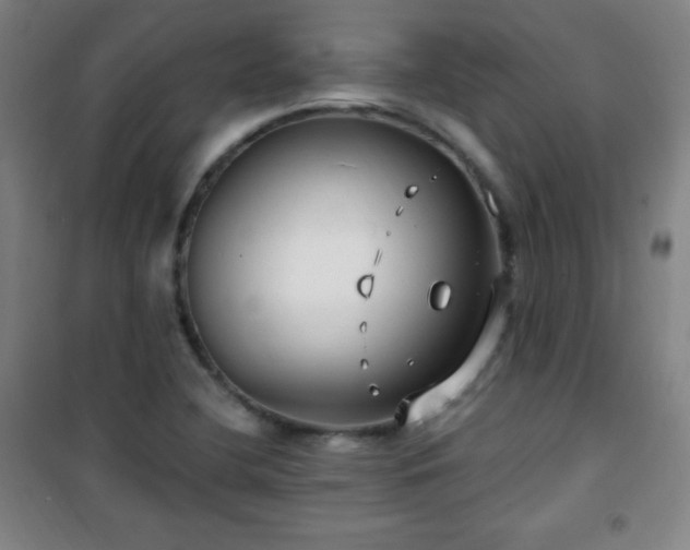 X0000101651412200807101220