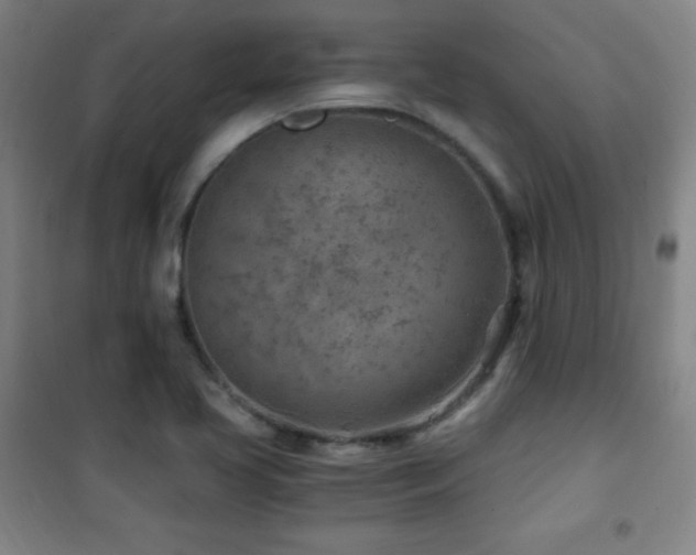 X0000101651413200807101220