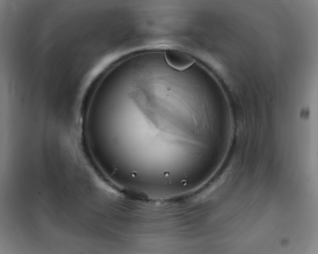 X0000101651414200807101220