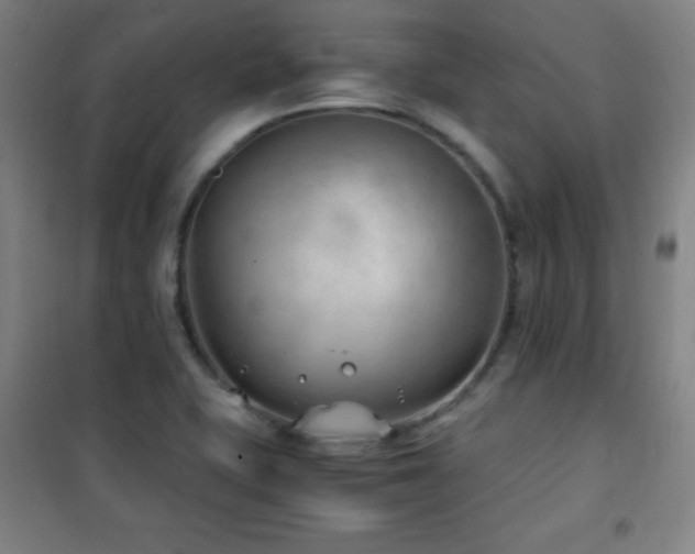 X0000101651415200807101220