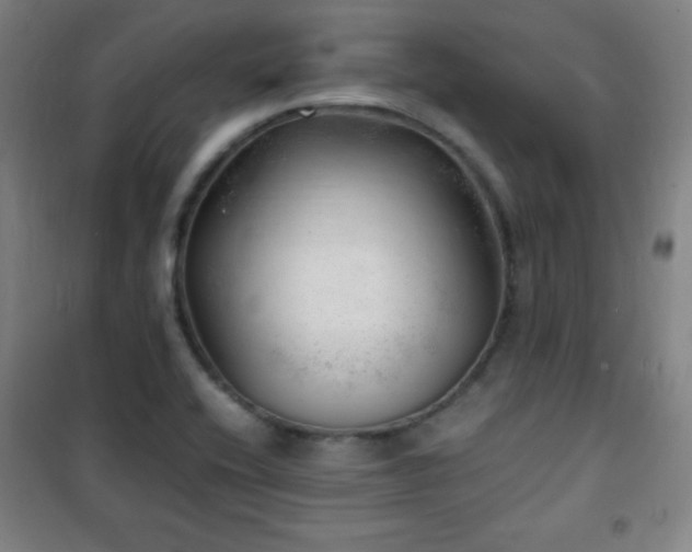 X0000101651416200807101220