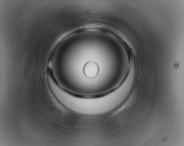 X0000101651417200807101220