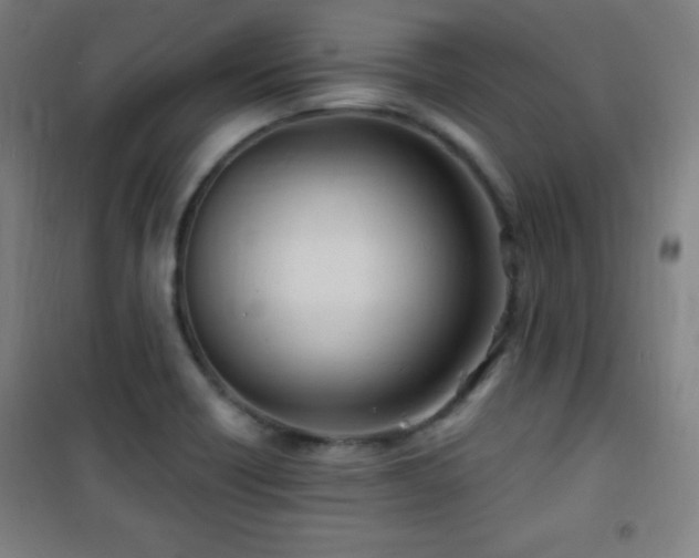 X0000101651418200807101220