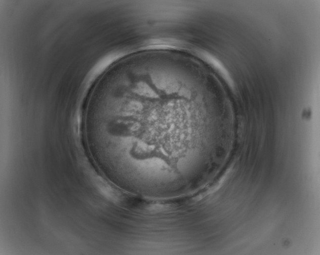 X0000101651419200807101220