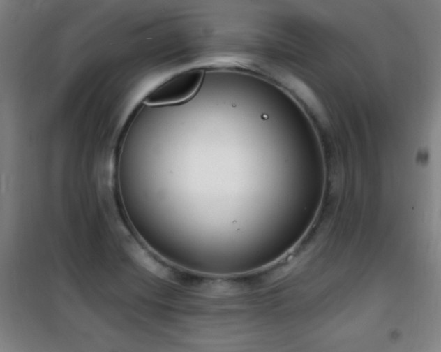 X0000101651420200807101220