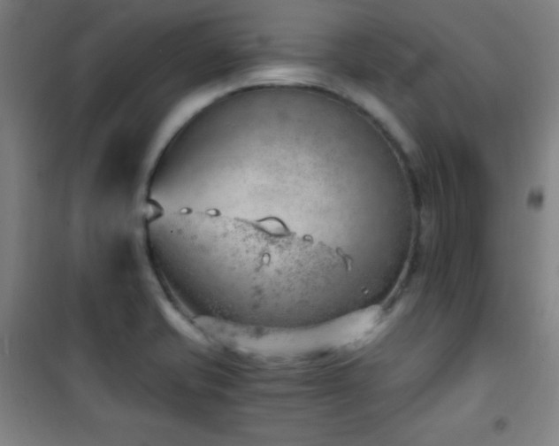 X0000101651421200807101220