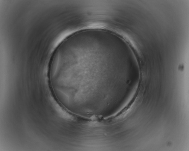 X0000101651422200807101220