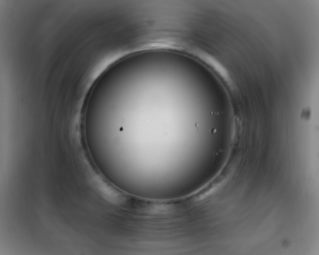 X0000101651423200807101220
