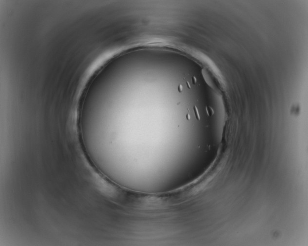X0000101651424200807101221