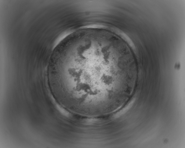X0000101651425200807101221