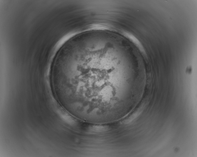 X0000101651427200807101221