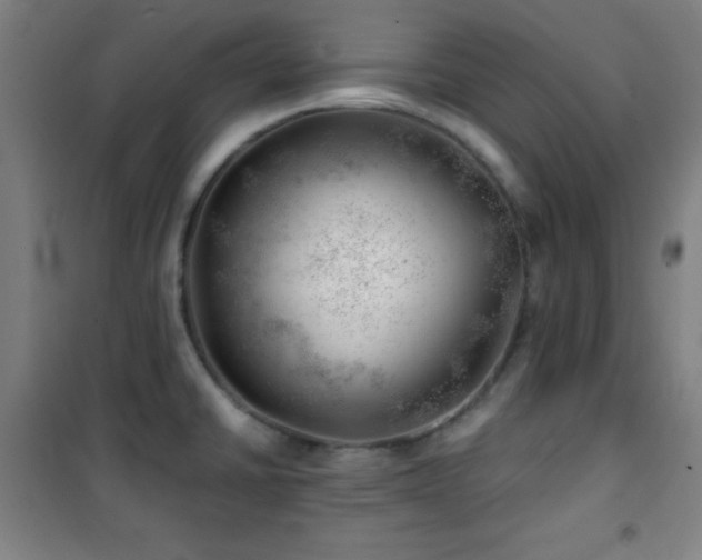 X0000101651430200807101221