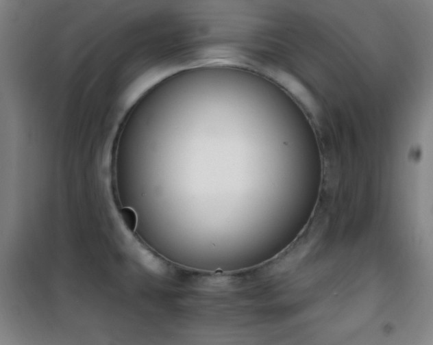 X0000101651431200807101221