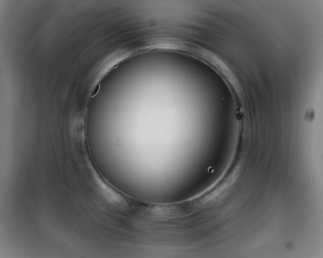 X0000101651433200807101221