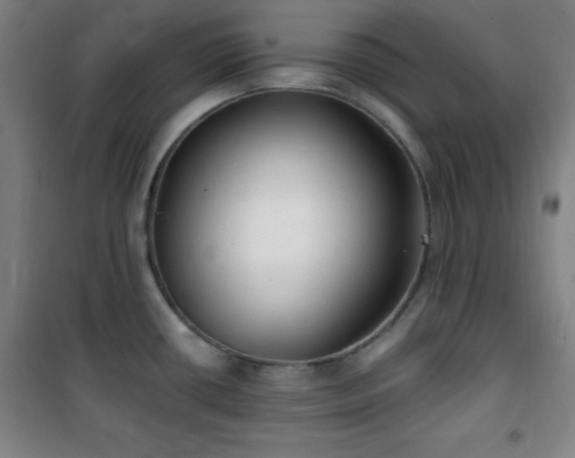 X0000101651434200807101221