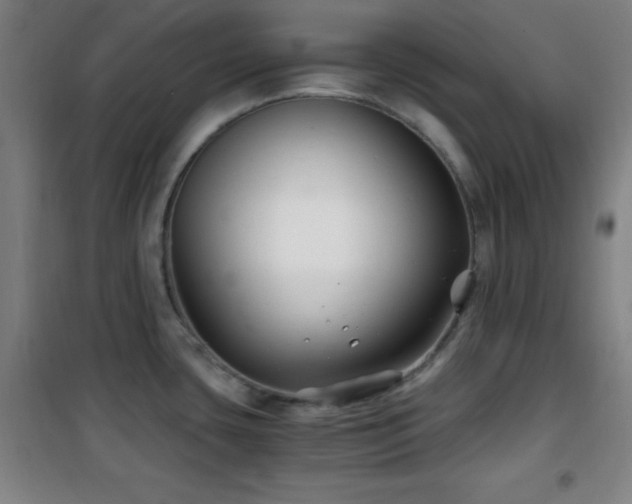 X0000101651435200807101221