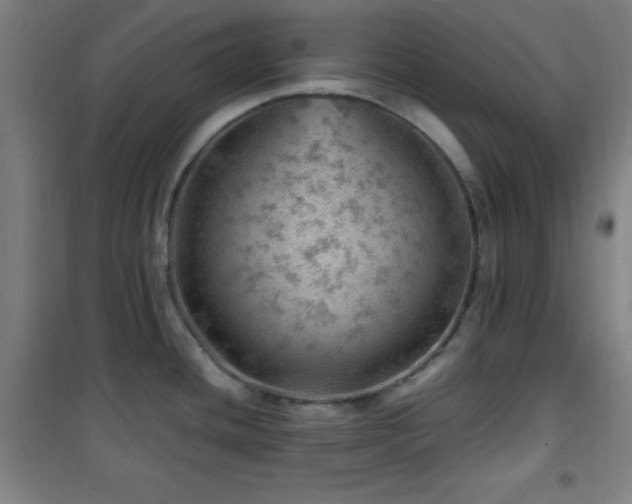 X0000101651436200807101221
