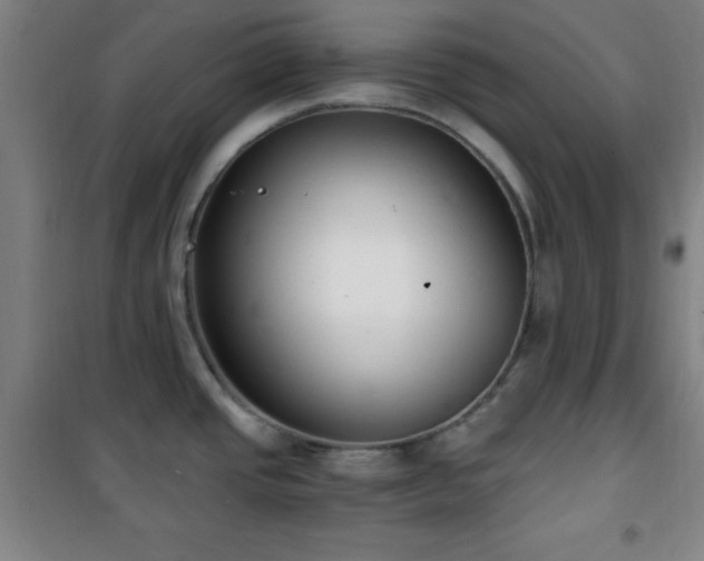 X0000101651437200807101221