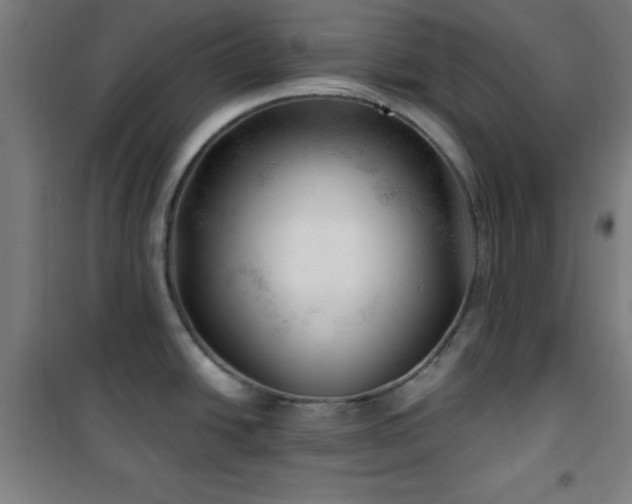 X0000101651438200807101221