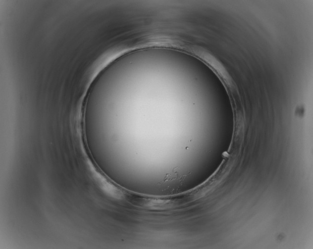 X0000101651439200807101221