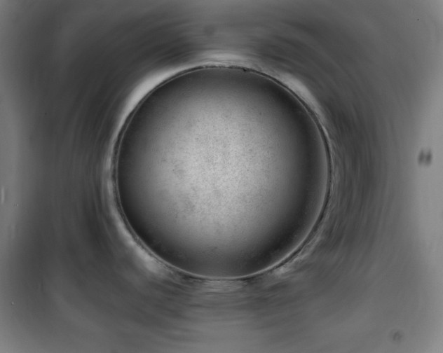X0000101651440200807101221
