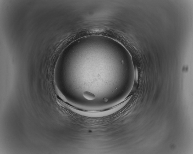 X0000101651441200807101220