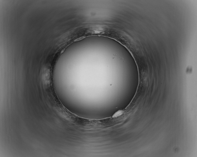 X0000101651442200807101220