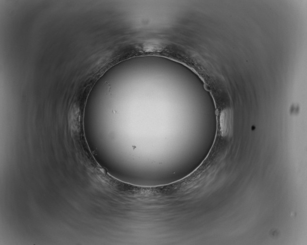 X0000101651443200807101220