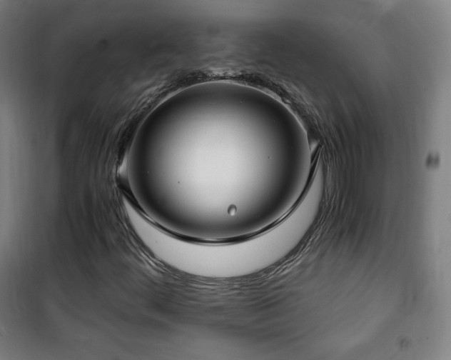 X0000101651444200807101220
