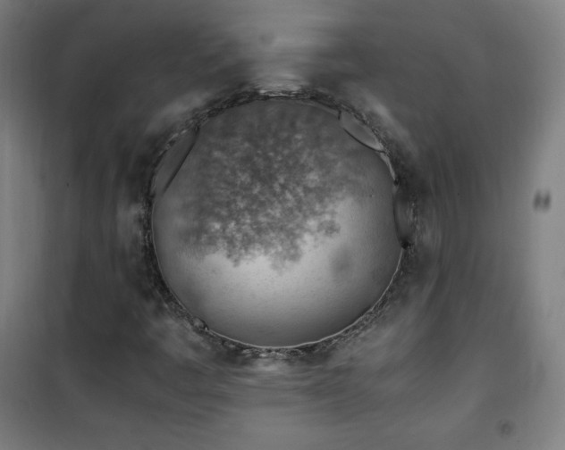 X0000101651445200807101220