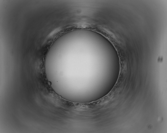 X0000101651446200807101220