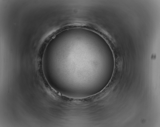 X0000101651448200807101220