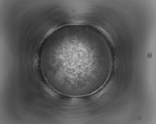 X0000101651449200807101220