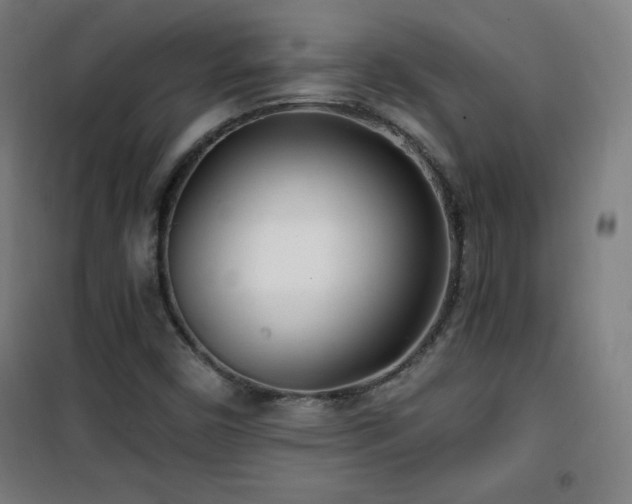 X0000101651450200807101220