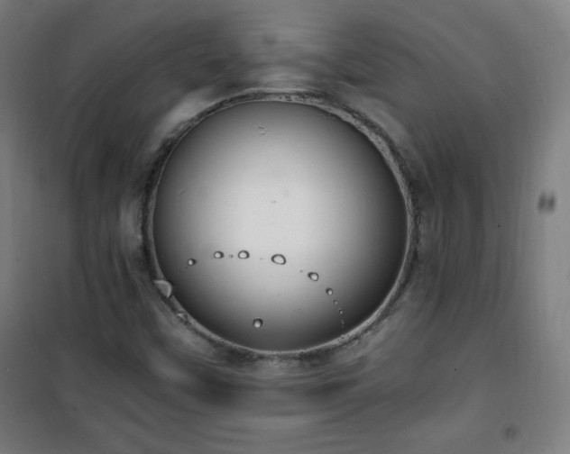 X0000101651451200807101220
