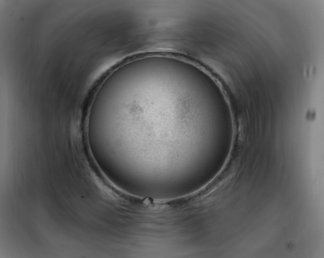 X0000101651452200807101220
