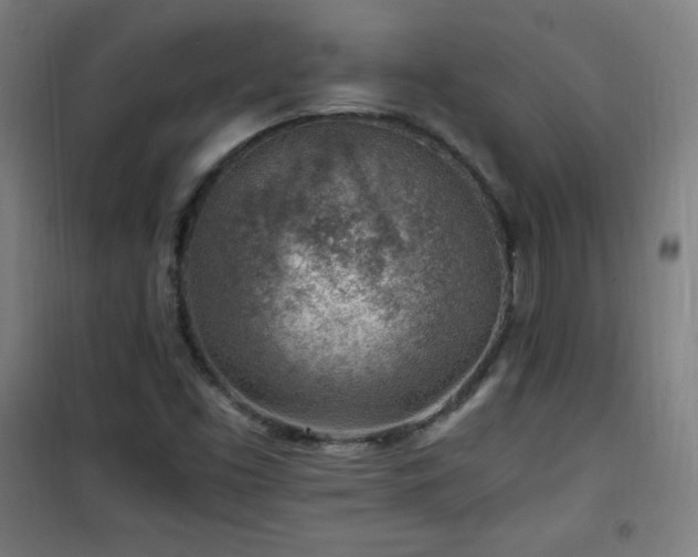 X0000101651453200807101220