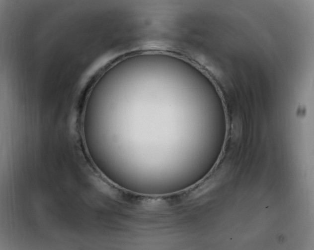 X0000101651454200807101220
