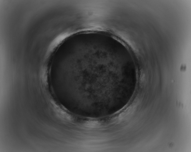 X0000101651455200807101220