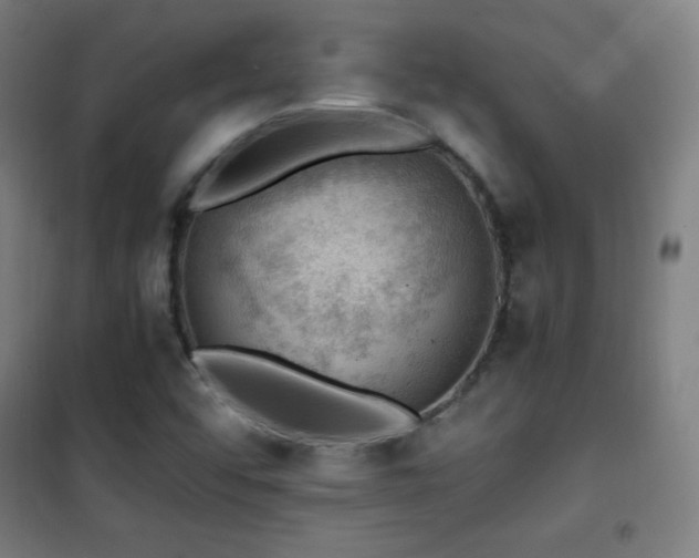 X0000101651456200807101220