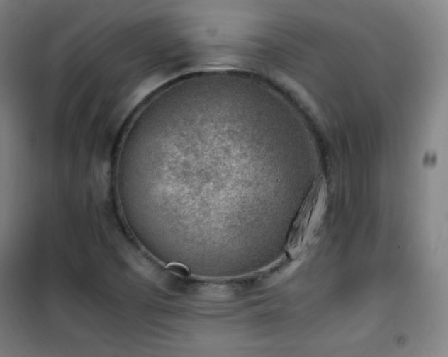 X0000101651457200807101220