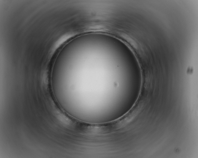 X0000101651458200807101220