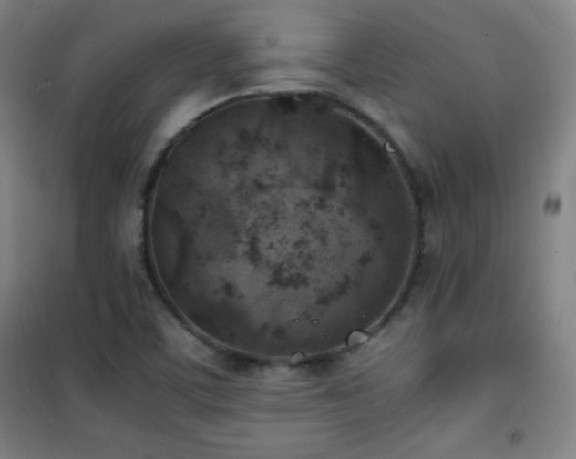 X0000101651459200807101220