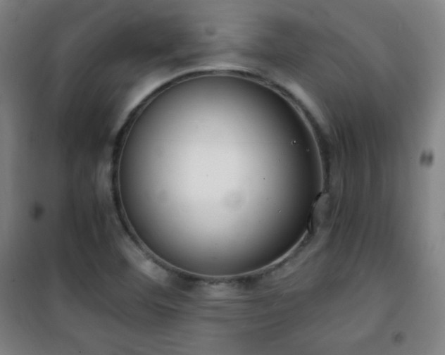 X0000101651460200807101220
