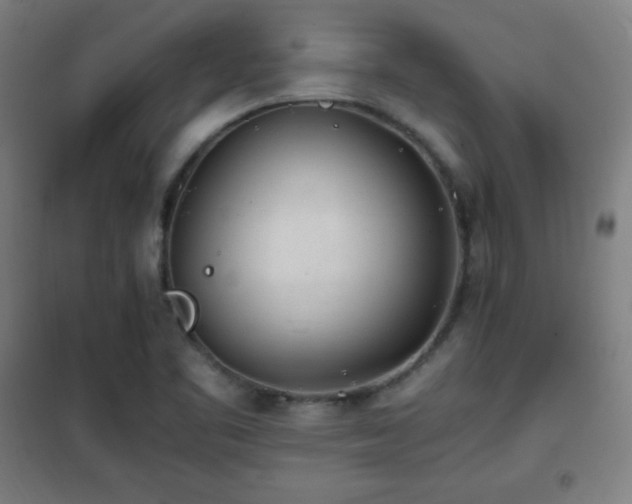X0000101651461200807101220