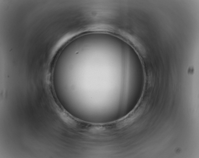 X0000101651462200807101220