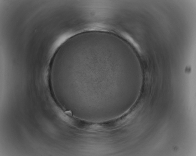 X0000101651463200807101220